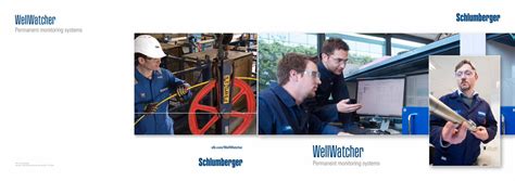 WellWatcher. WellWatcher. Permanent monitoring systems..